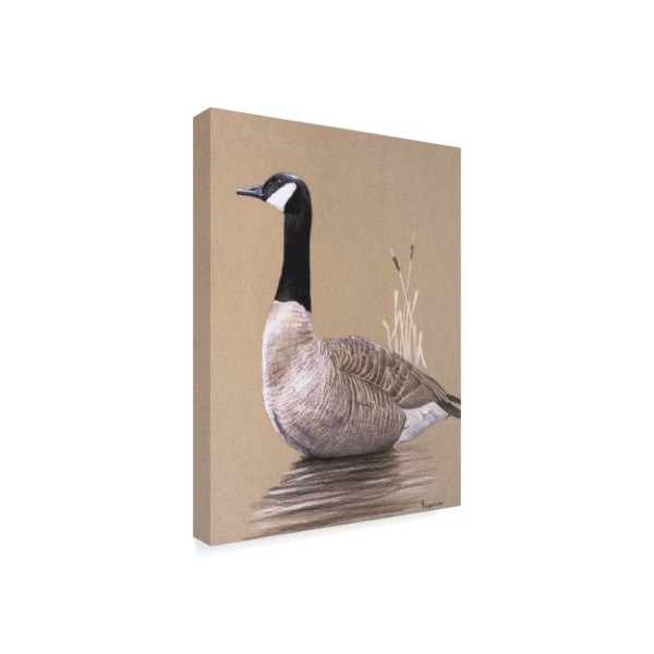 Rusty Frentner 'Lone Goose' Canvas Art,35x47